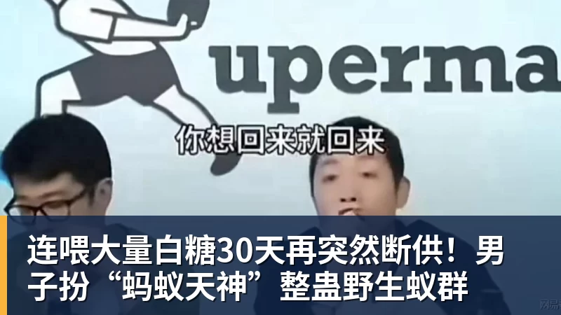 连喂大量白糖30天再突然断供！男子扮“蚂蚁天神”整蛊野生蚁群
